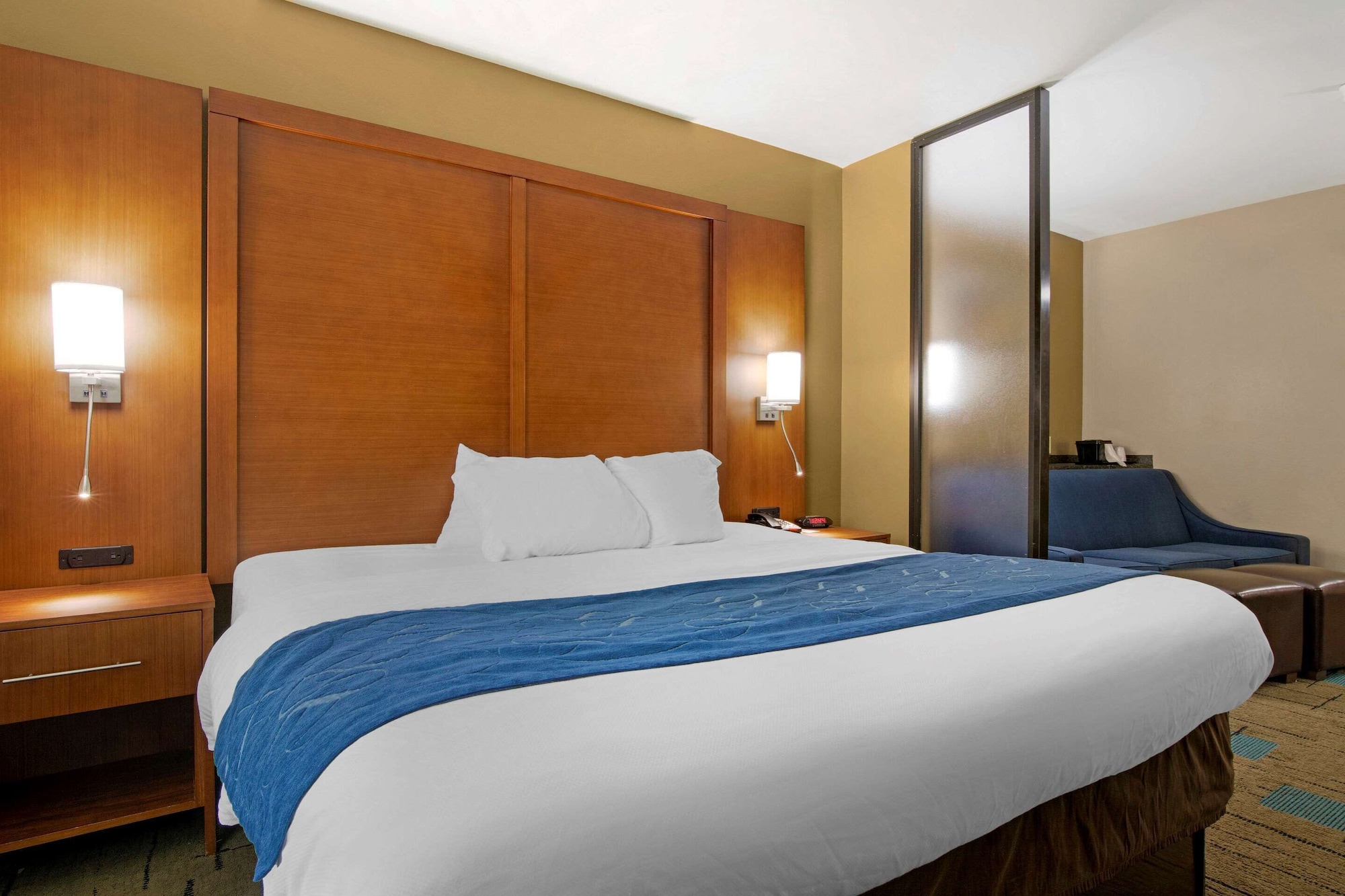 Upgrade, Suite, King Bed, Sofa, Jetted Tub