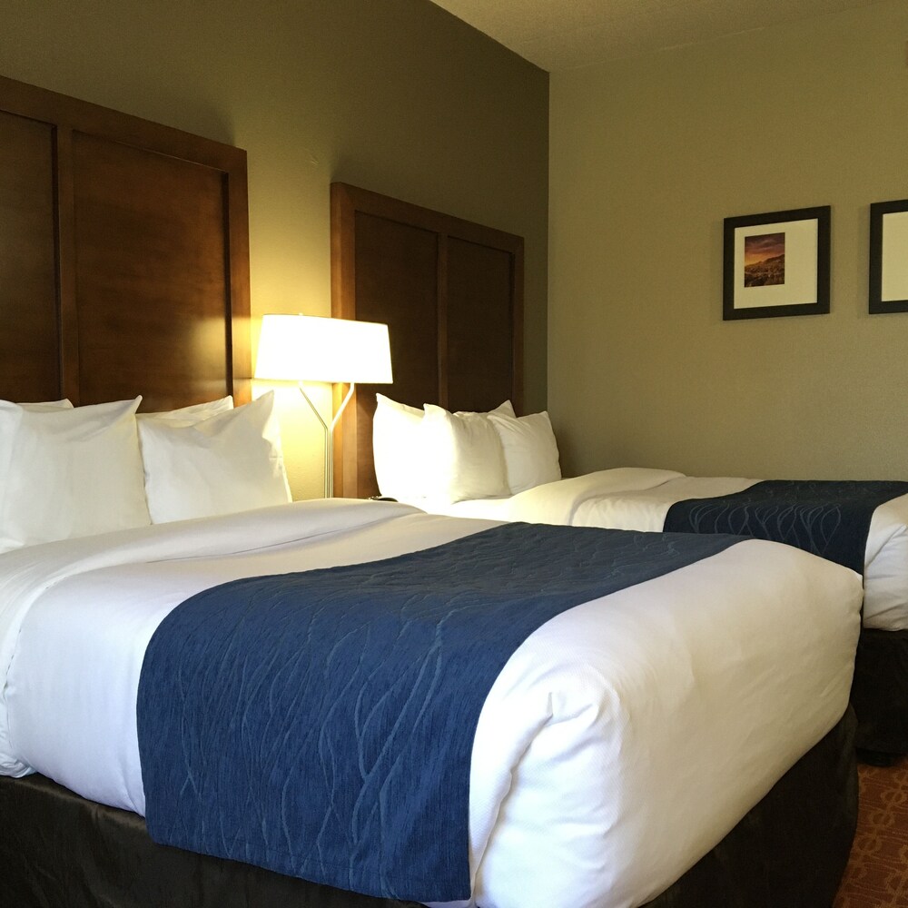 Comfort Inn & Suites Near Kino Sports Complex 17/58