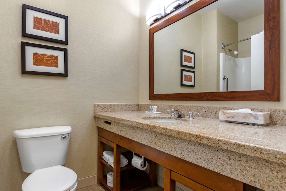 Comfort Suites Coralville 9/37