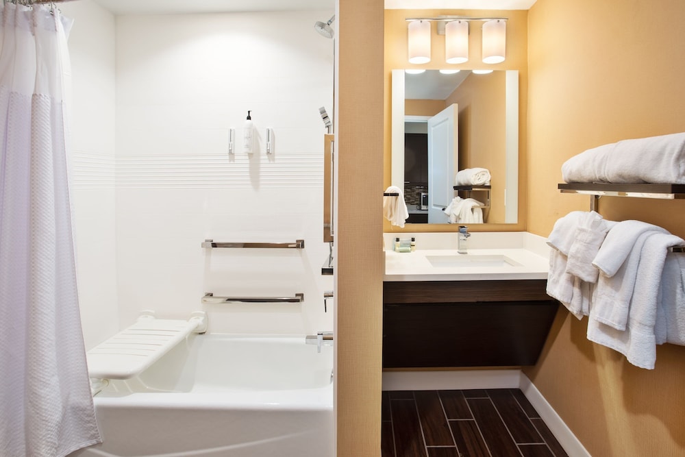 TownePlace Suites Detroit Belleville 49/50