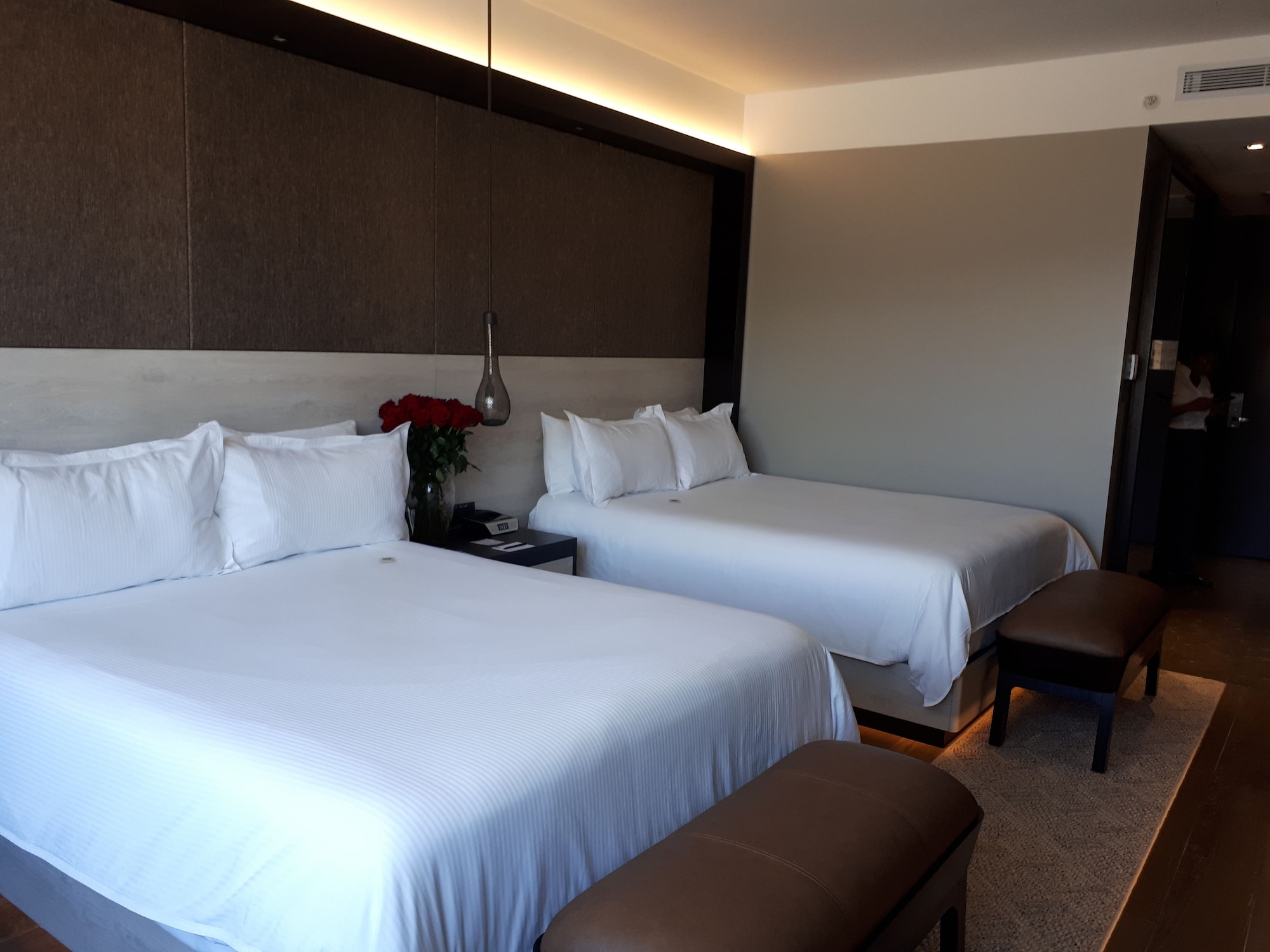 DELUXE, 2 QUEEN BEDS, MOUNTAIN VIEW