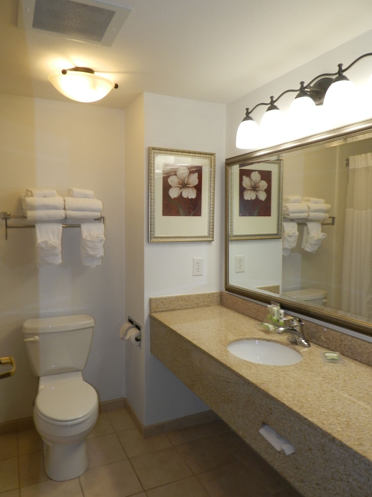 Country Inn & Suites by Radisson, Braselton, GA 10/33