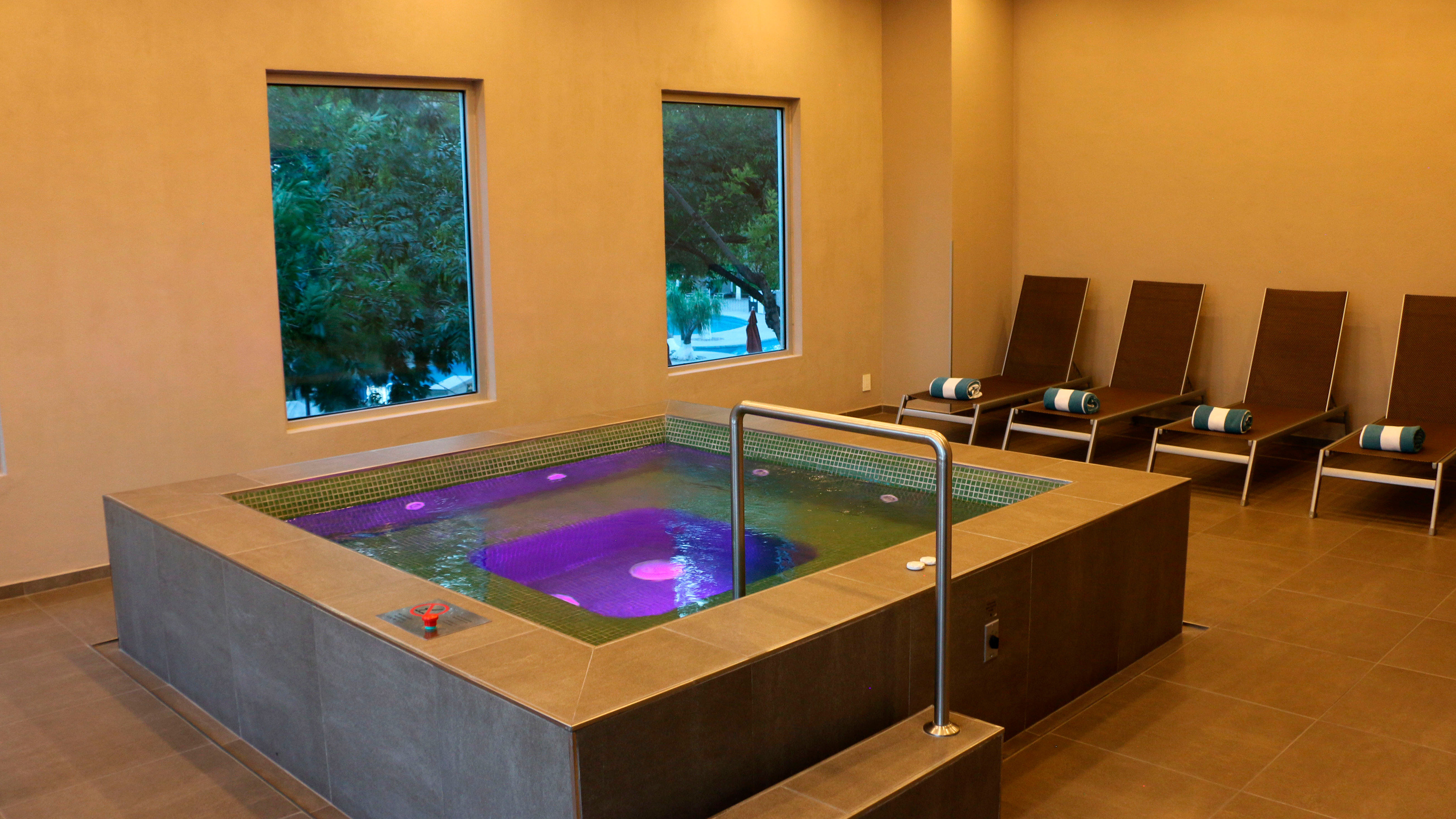 Holiday Inn San Luis Potosi-Quijote 22/50