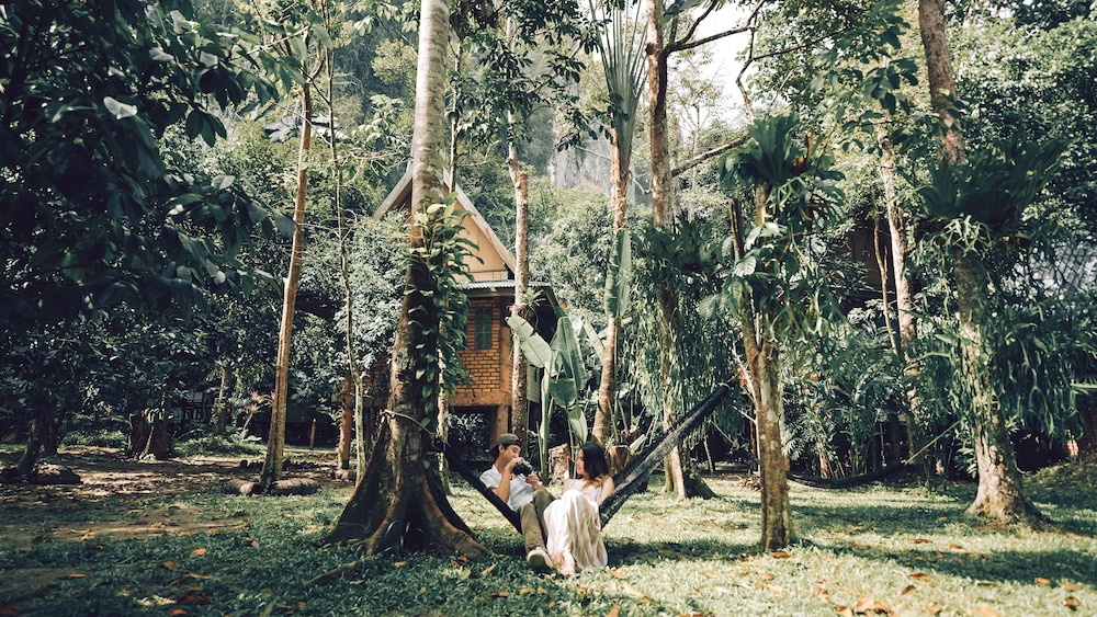 surroundings