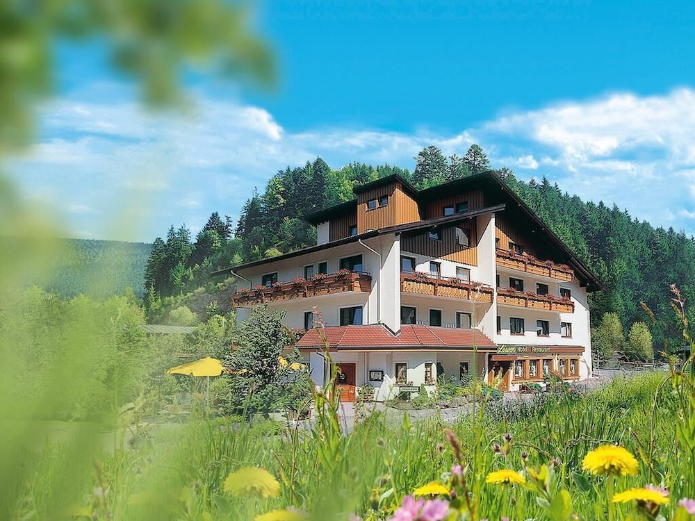 Sackmanns Wanderhotel Lowen 4/19