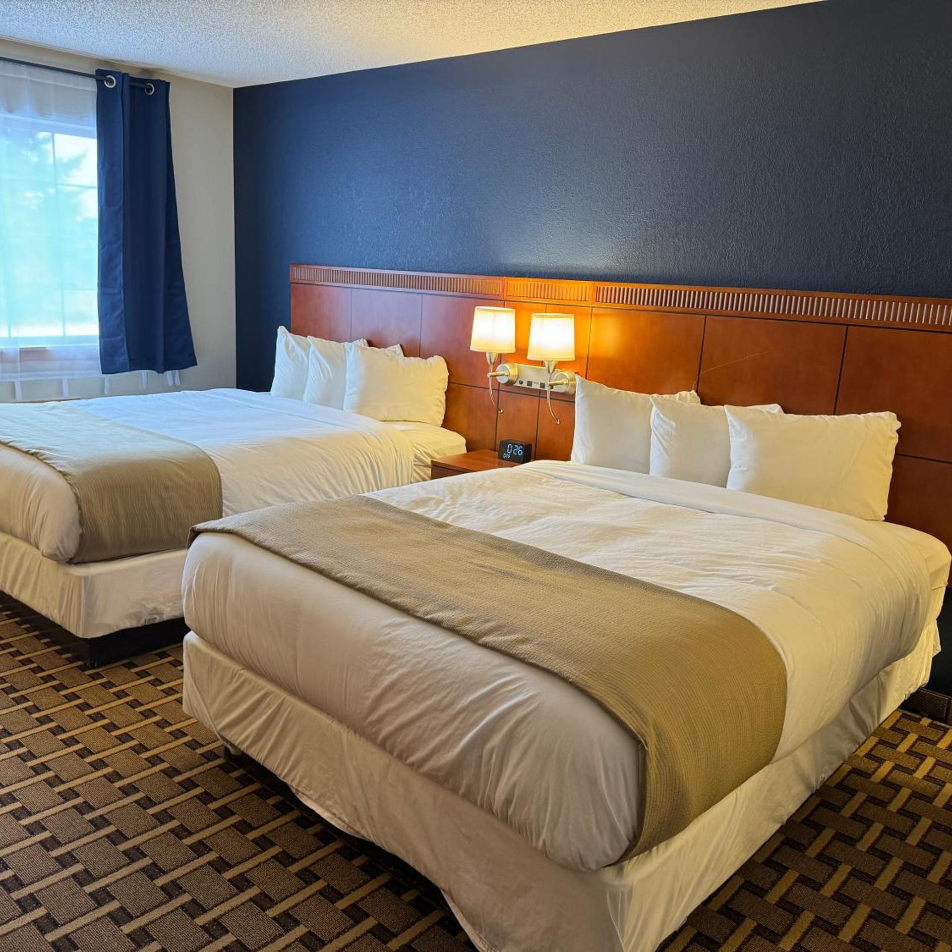 Room, King Bed