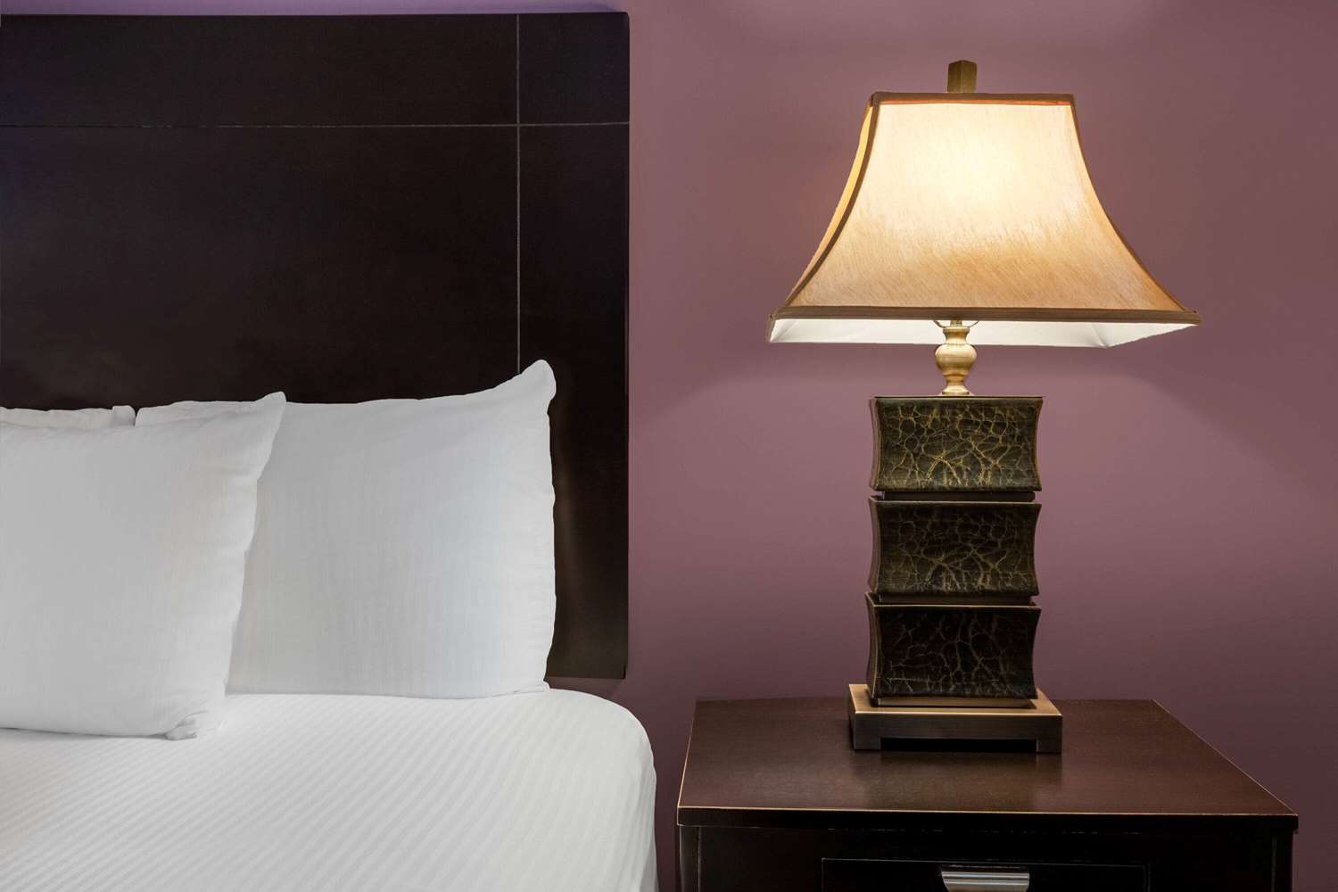 La Quinta Inn And Suites By Wyndham Lumberton 22/59