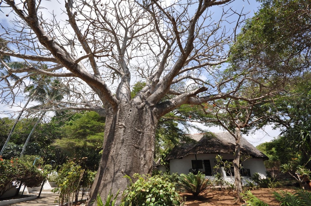 Baobab Sea Lodge 29/34