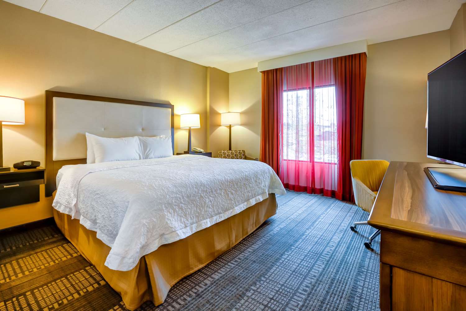 Room, King Bed