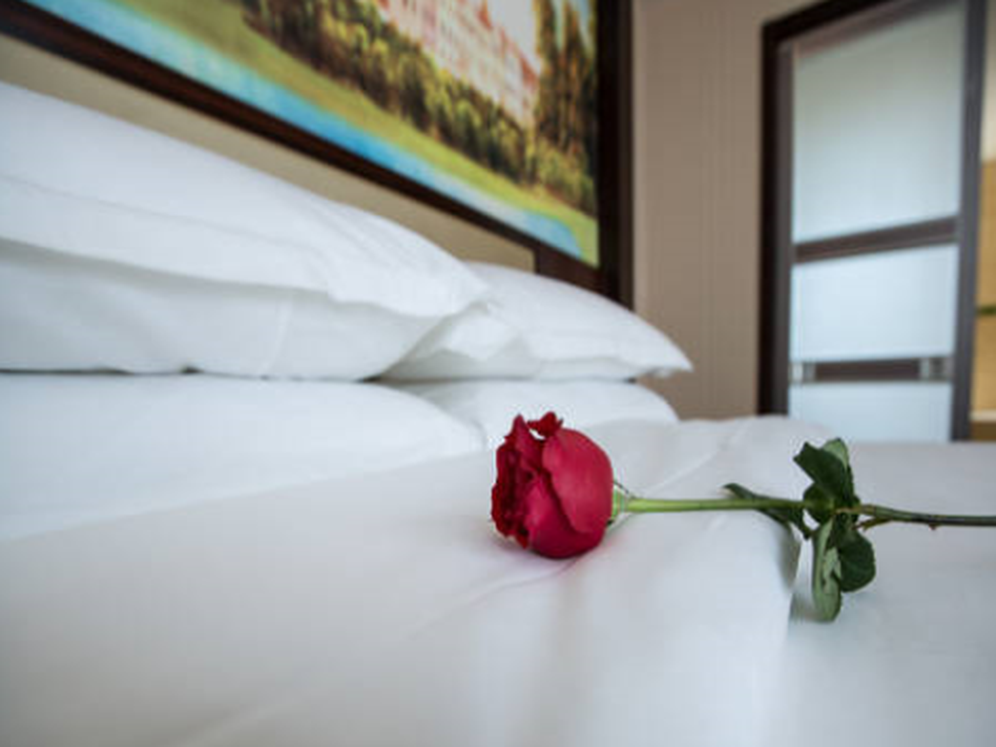 Vienna International Hotel (Zhumadian Huayuan Xuefu) 20/37