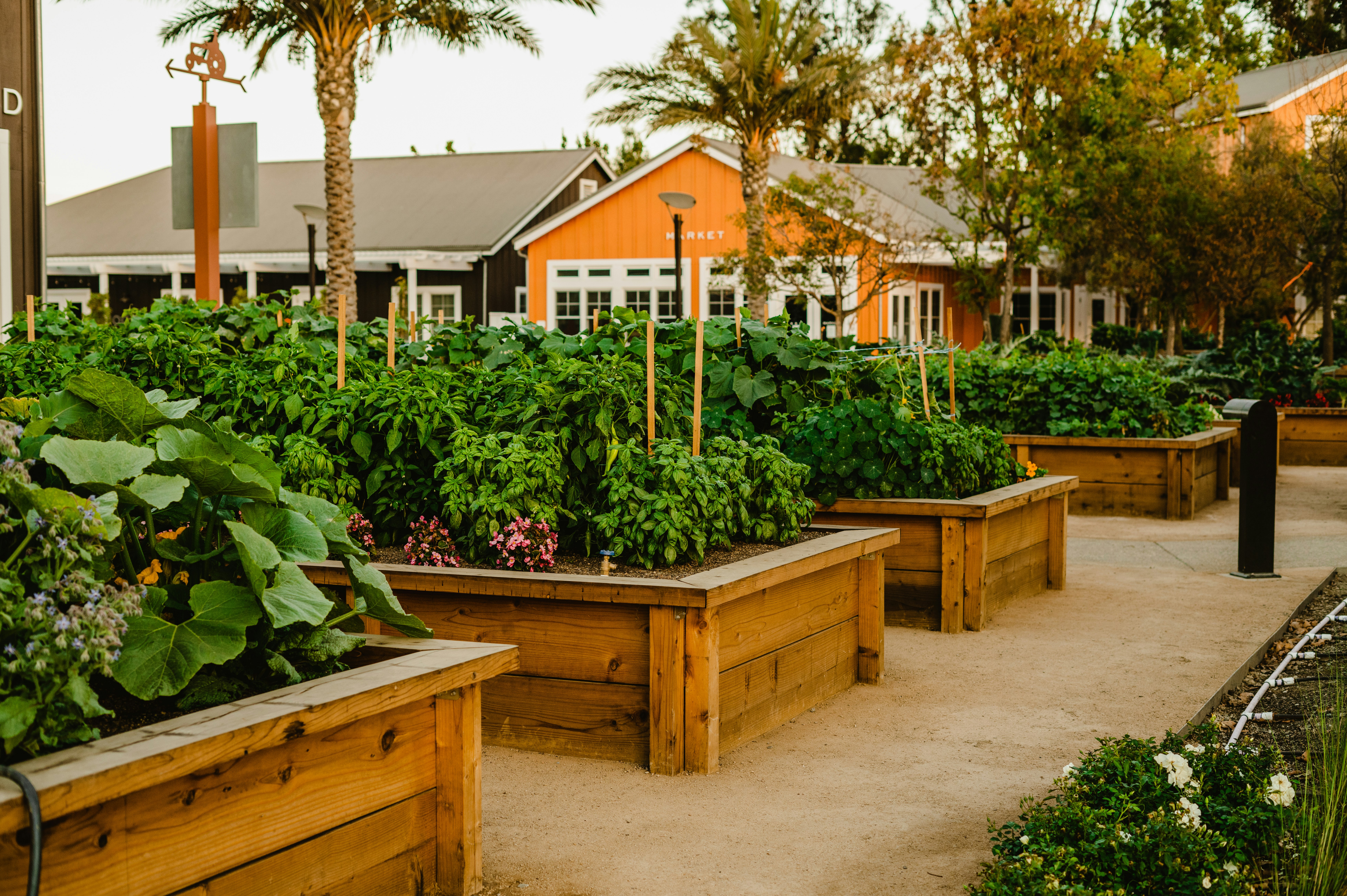 Carneros Resort And Spa 27/32