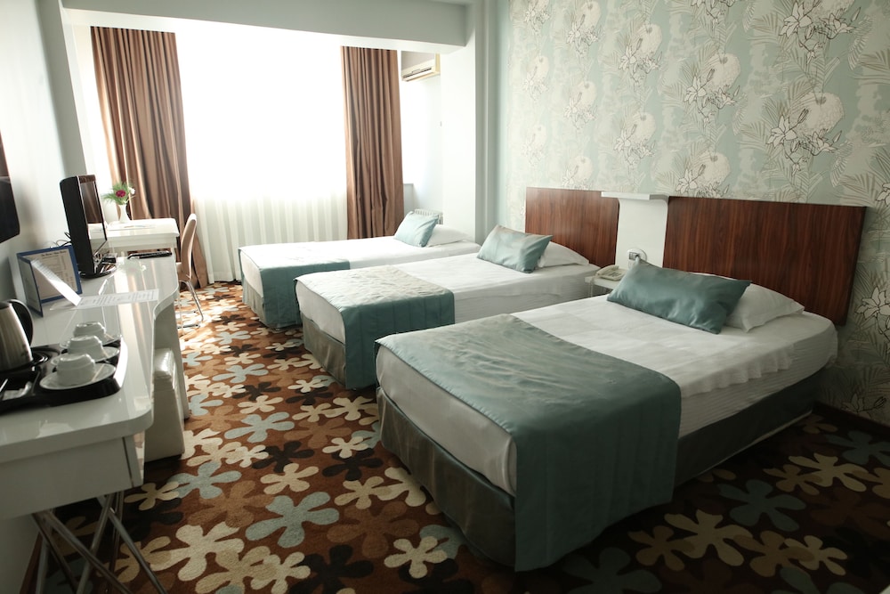 Buyuk Saruhan Hotel 11/50