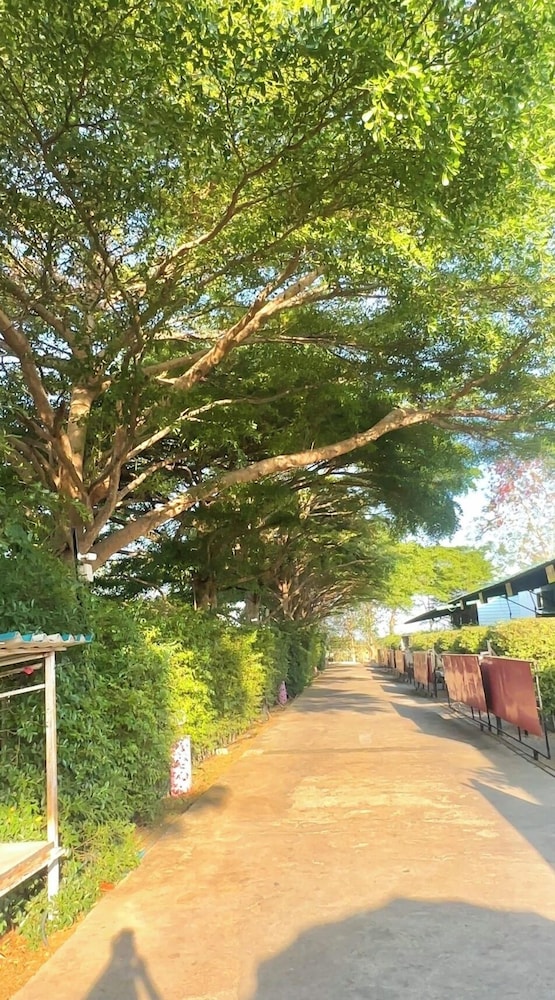 Honey Inn Hotel 31/50