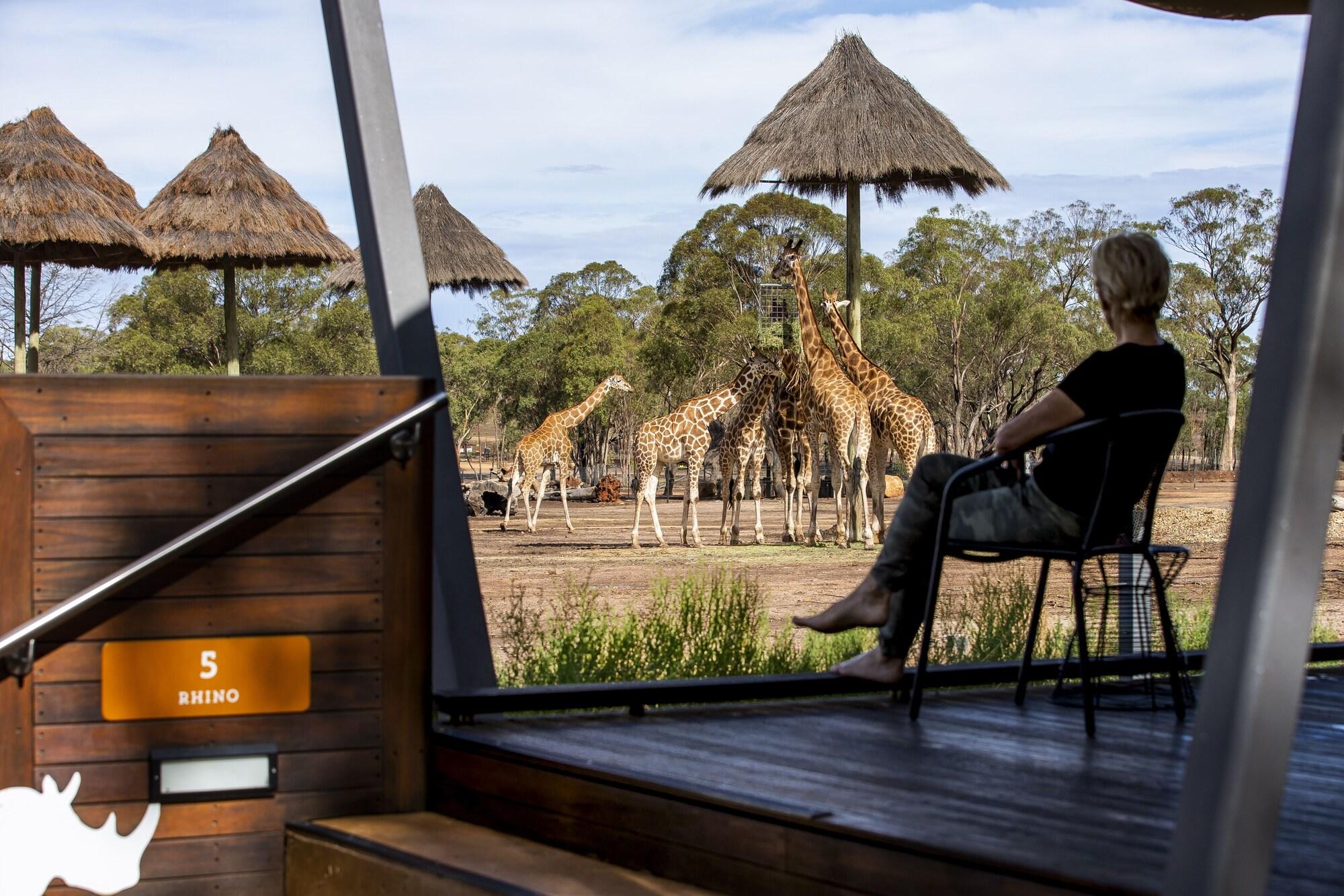 Zoofari Lodge 12/13