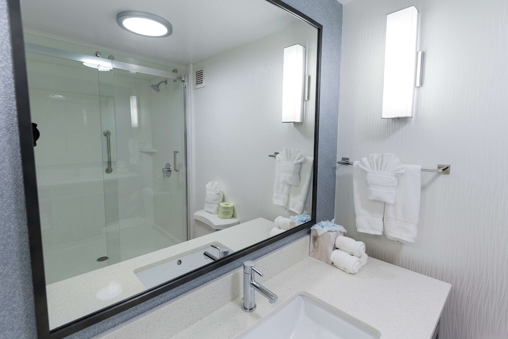 Hilton Garden Inn Atlanta Northpoint Hotel 18/65