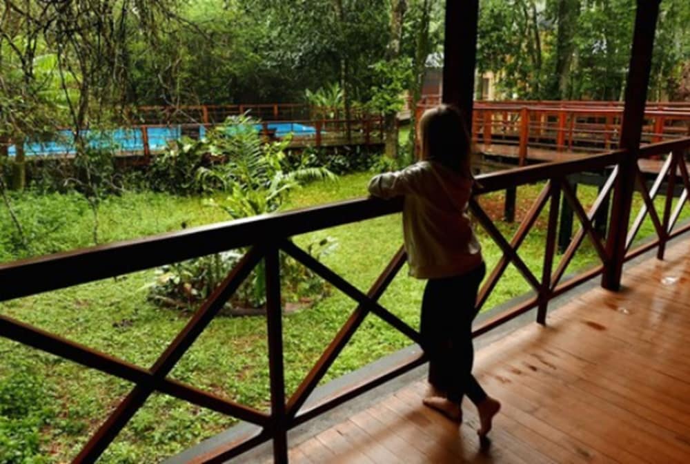 Selva de Laurel 34/71