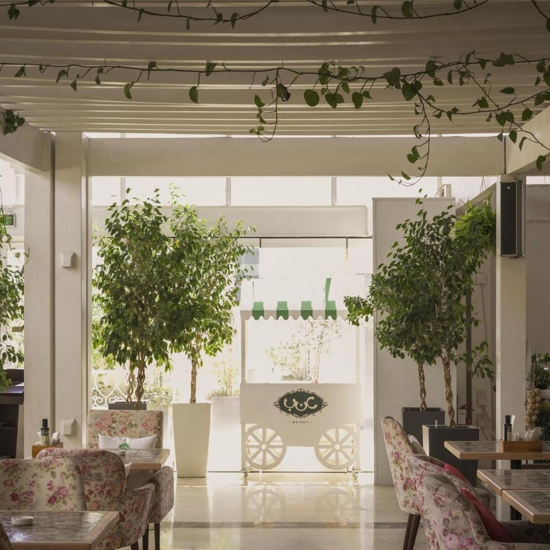 فندق العثمان(Ottoman Hotel Al Khobar) 6/54