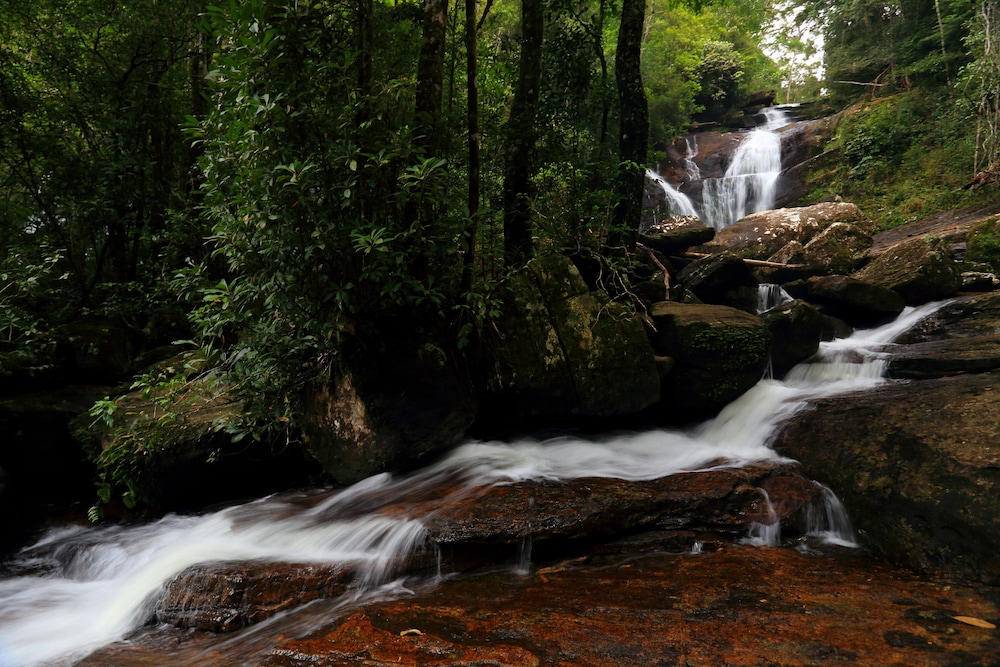 Rainforest Eco Lodge 36/41