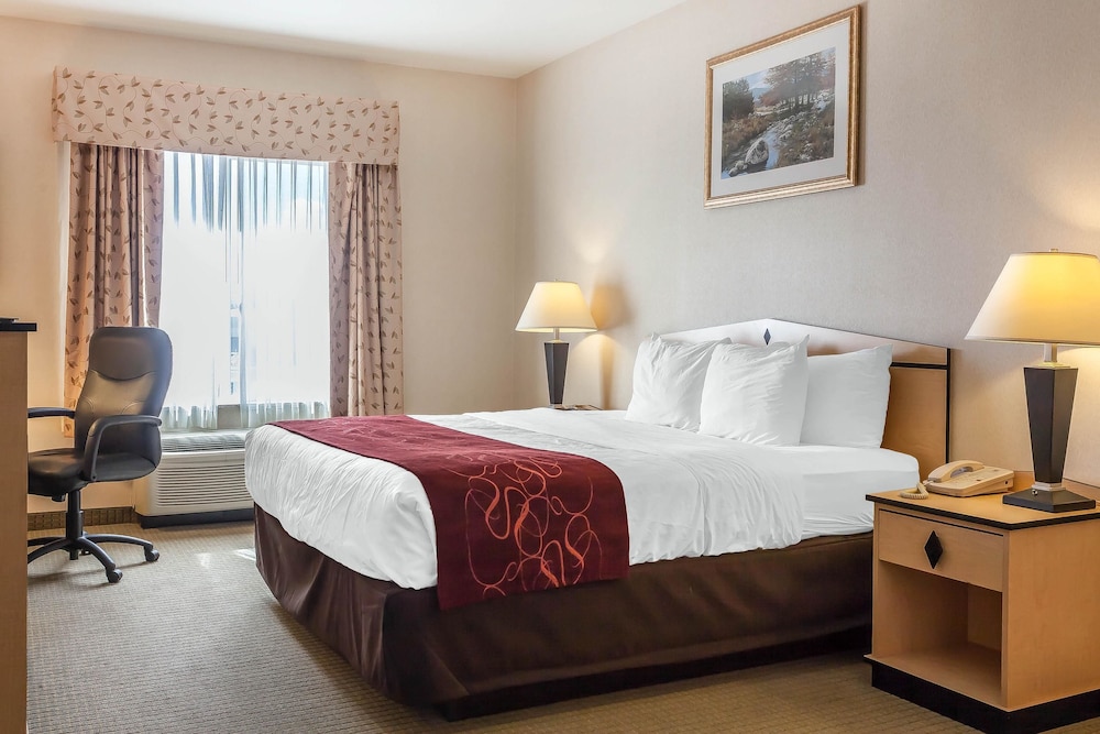 Comfort Inn & Suites Airport Convention Center 13/43