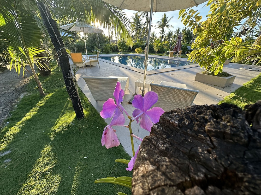 Vivo Inn 63/69