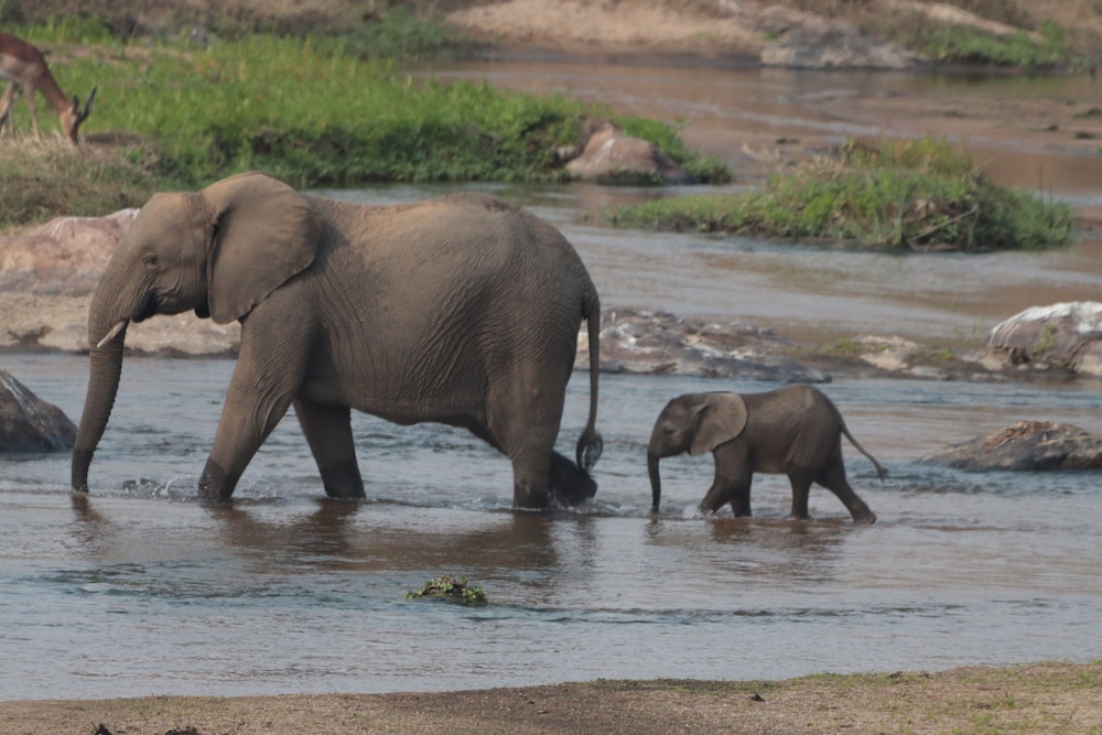 Doringpoort Safari Lodge(PTY)LTD 21/50