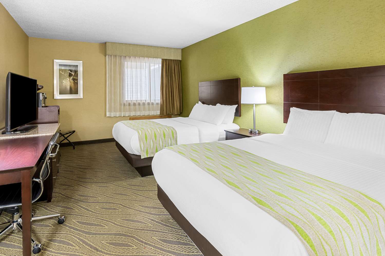 غرفة بسريرين كوين، Best Western Gaylord 3/5