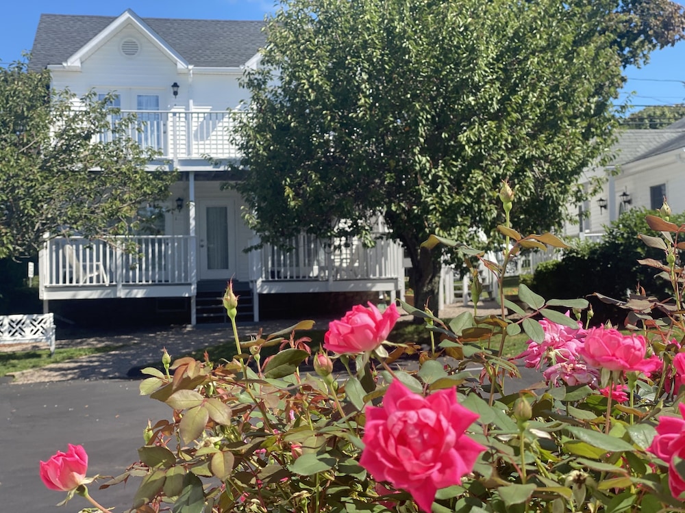 The Taber Inne Suites 48/55