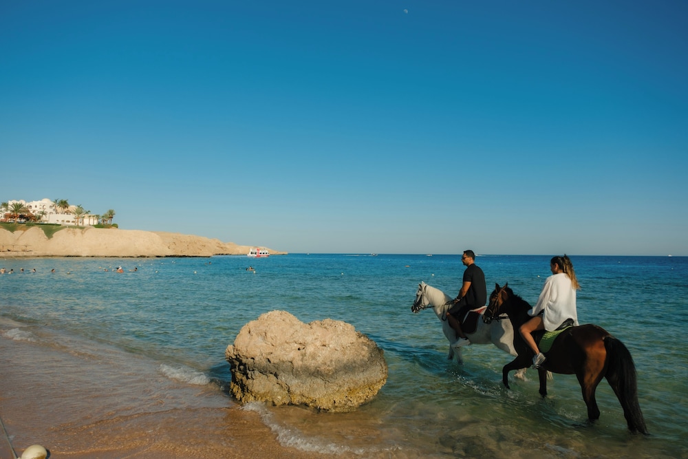 Movenpick Resort Sharm El Sheik Naama Bay 77/82