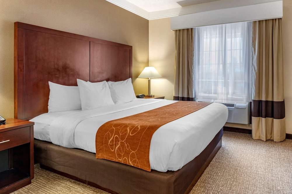 Comfort Suites Linn County Fairground And Expo 9/38