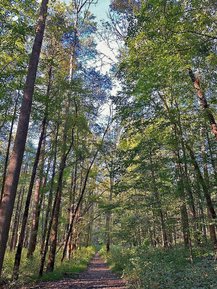 The Lodge at Mammoth Cave 17/25