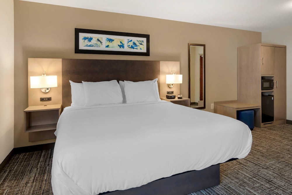 Room, King Bed, Accessible