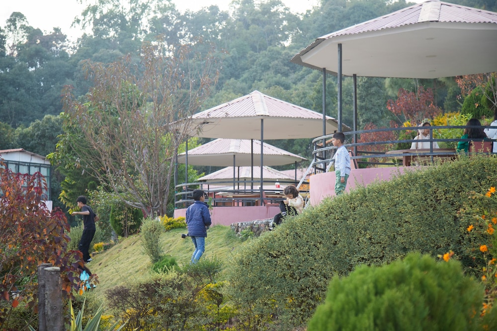 surroundings