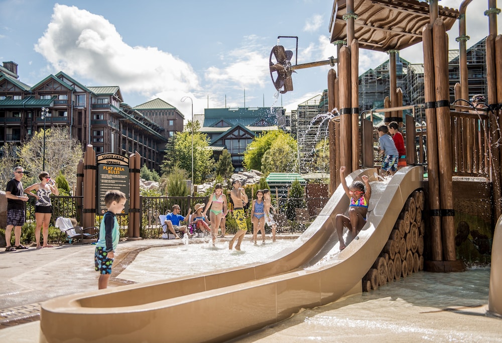 Disneys Wilderness Lodge 38/50