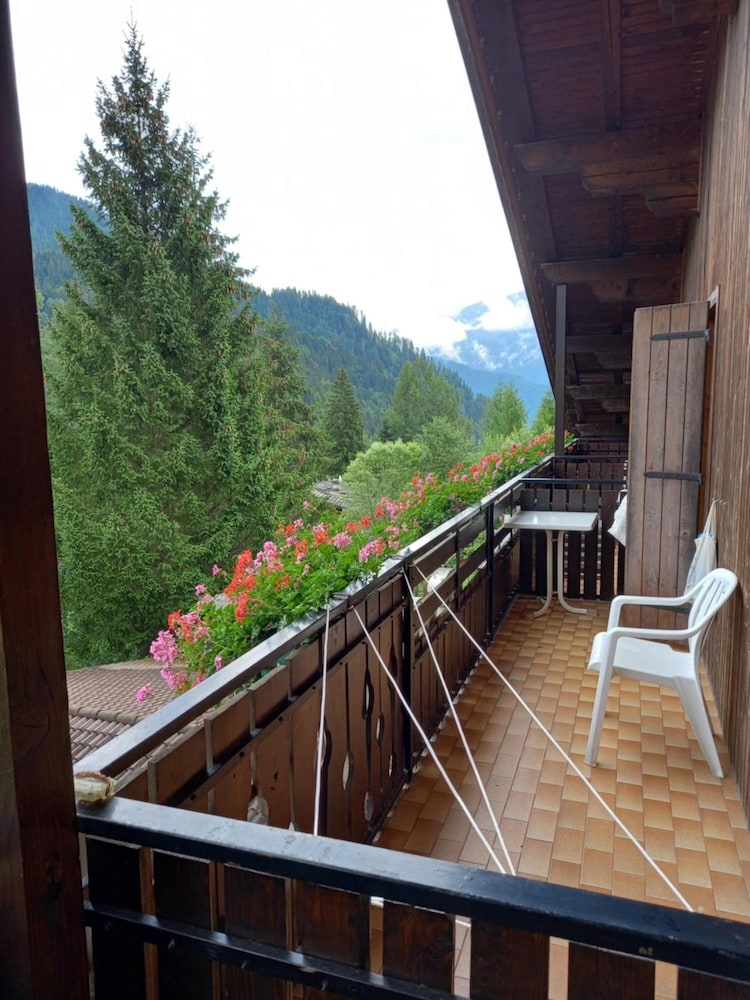 Hotel Scoiattolo 25/50