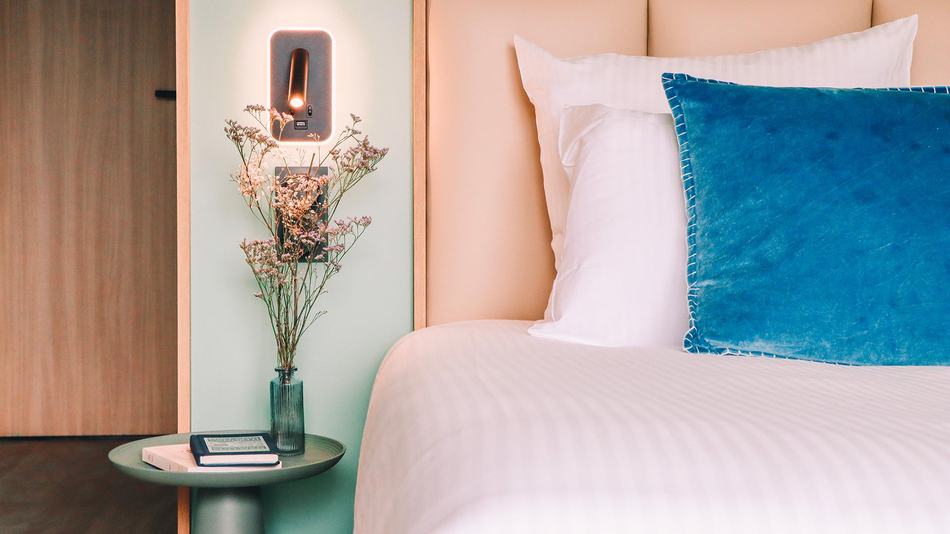 Hotel and Residence Vacances Bleues - La Villa du Lac 17/50