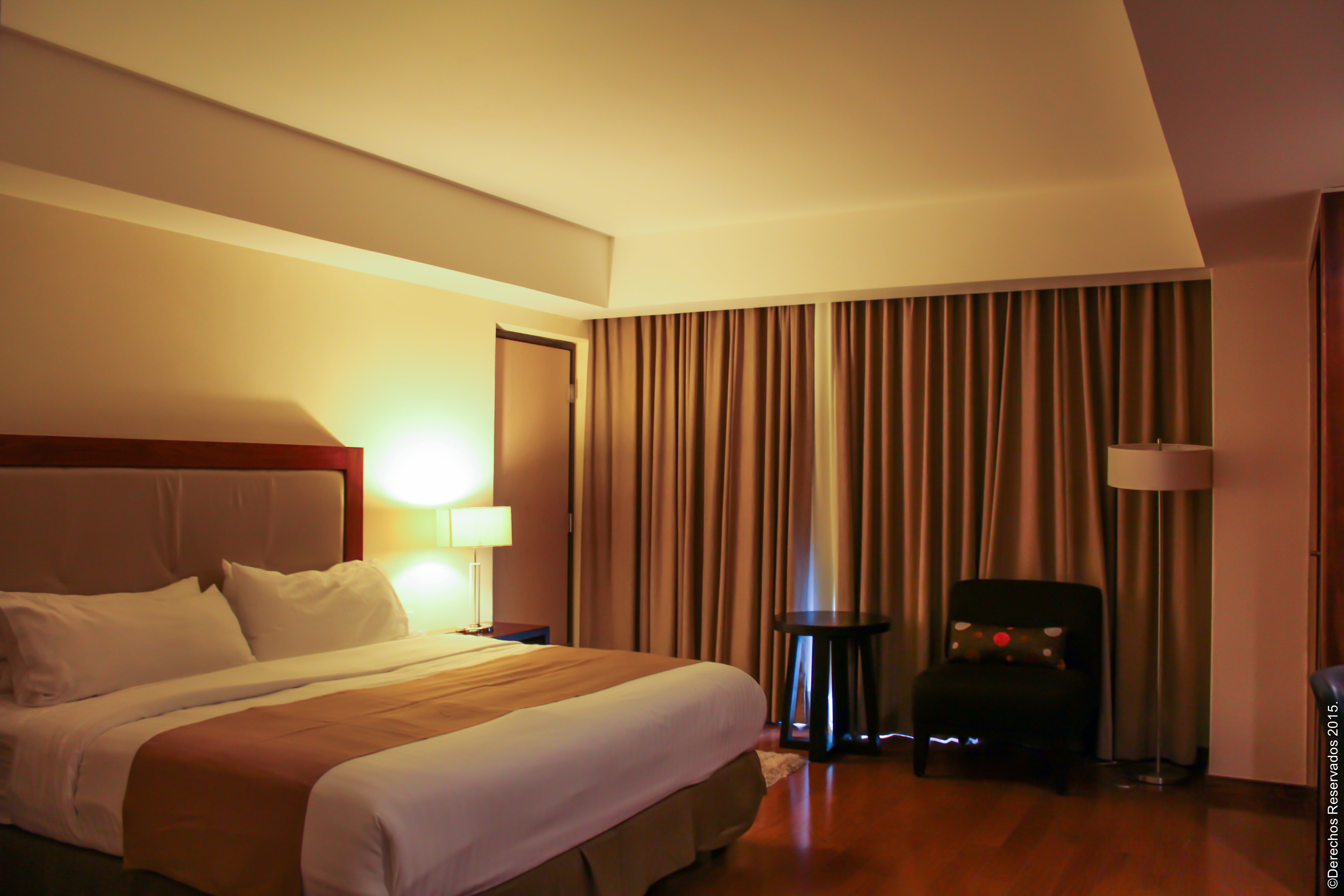 Holiday Inn Leon 13/50