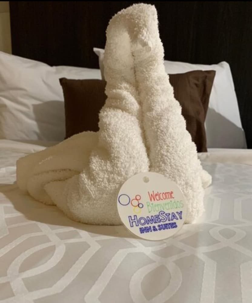 HomeStay Inn & Suites Edinburg 16/21