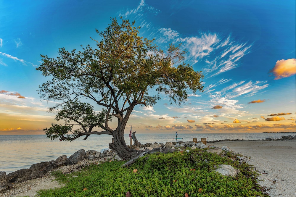 Seascape Resort and Marina 45/49