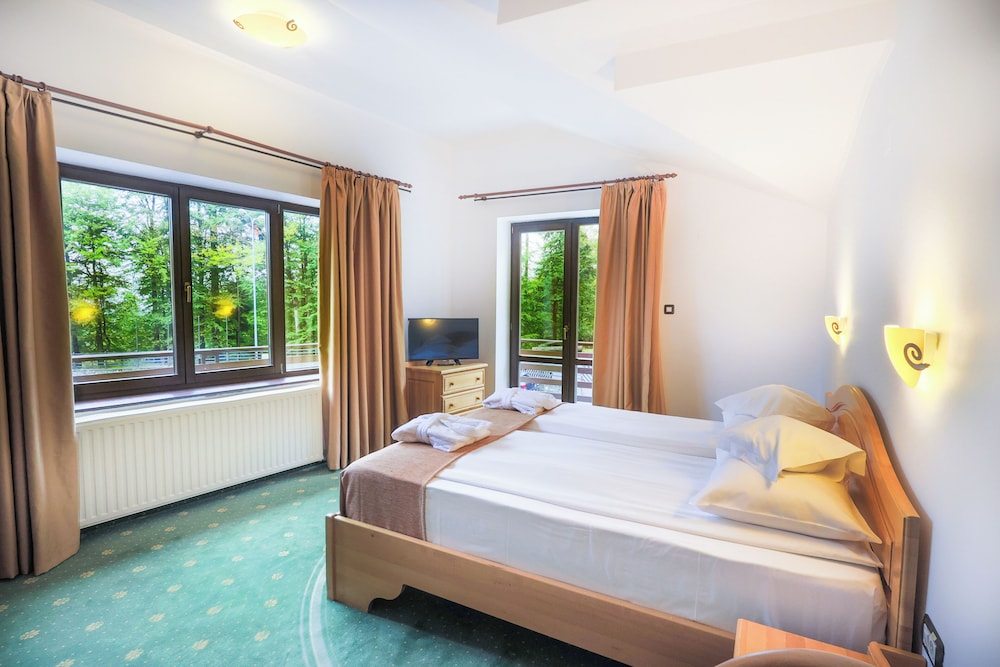 Hotel Casa Viorel 12/50