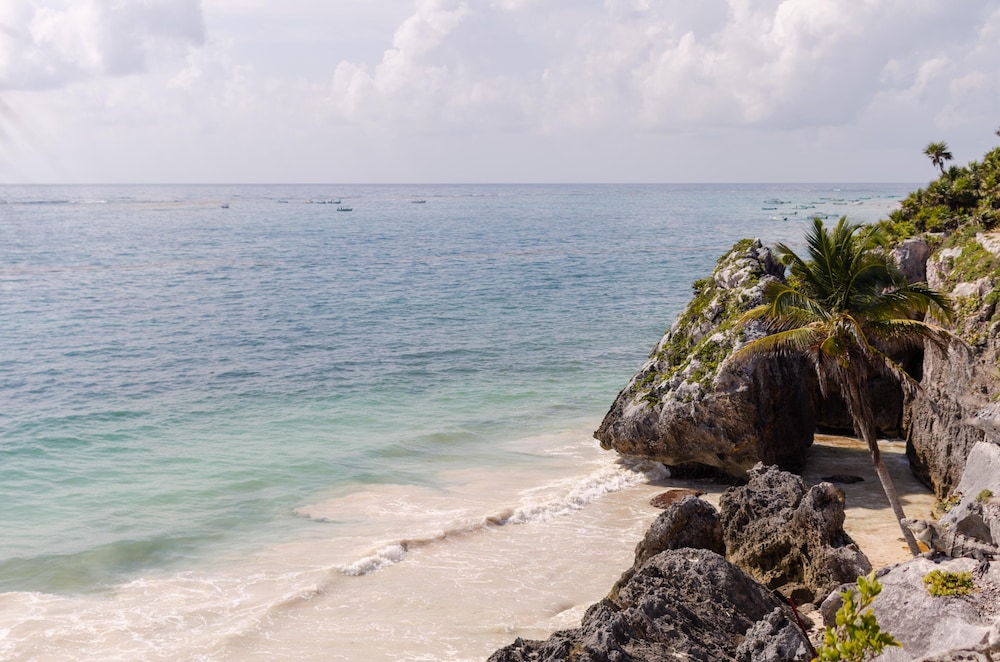 Radhoo Tulum 42/50