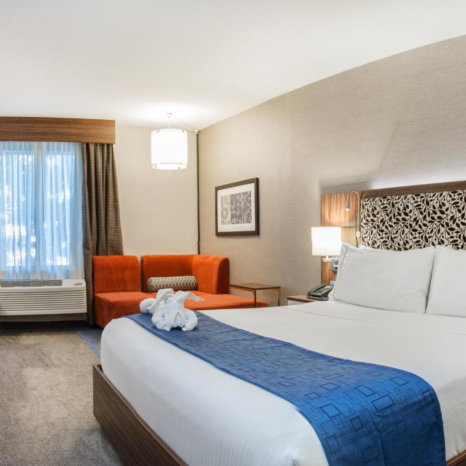 Xtra Space, Standard, King Bed