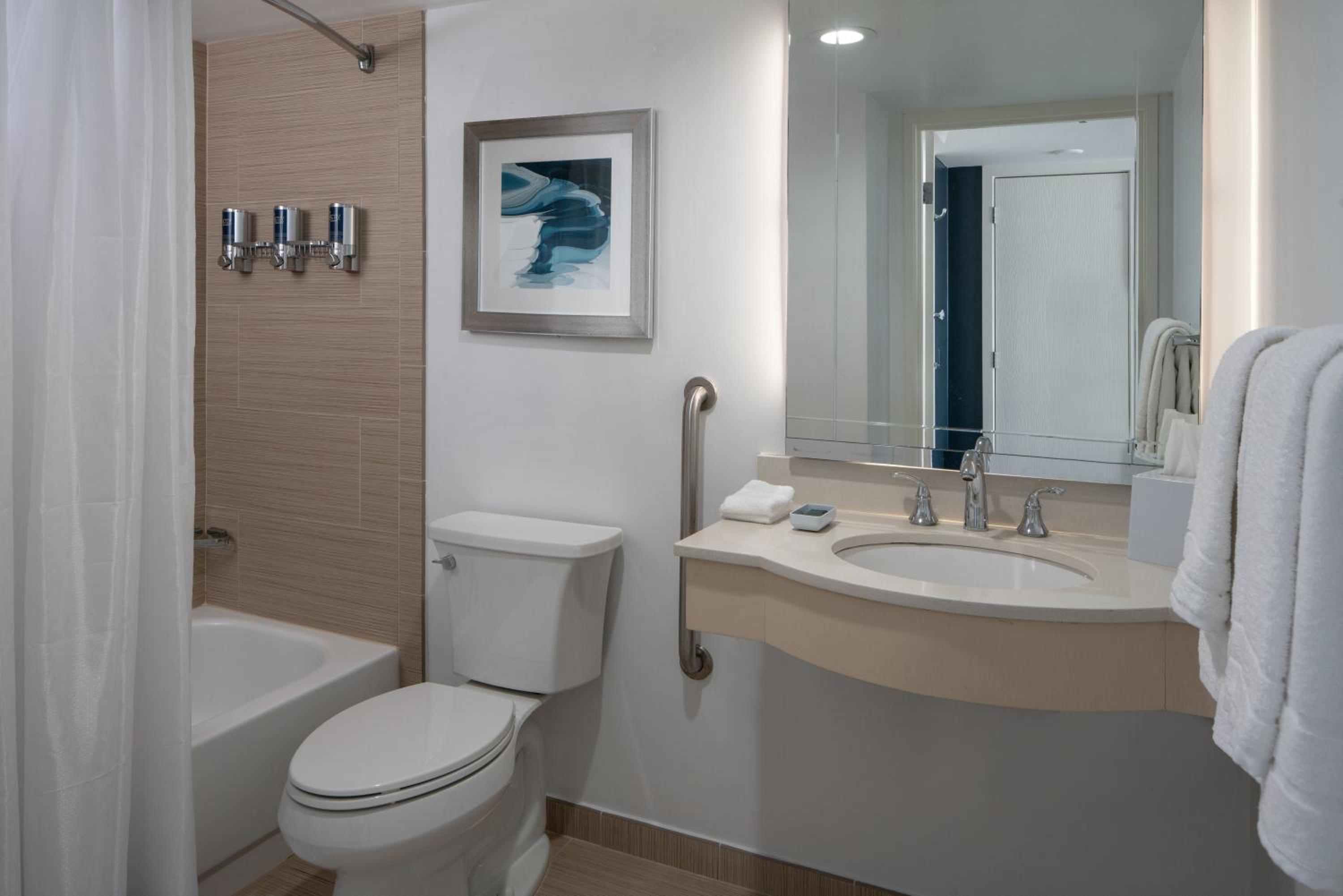 1 Bedroom, Deluxe, Suite, King Bed, Sofa, Accessible