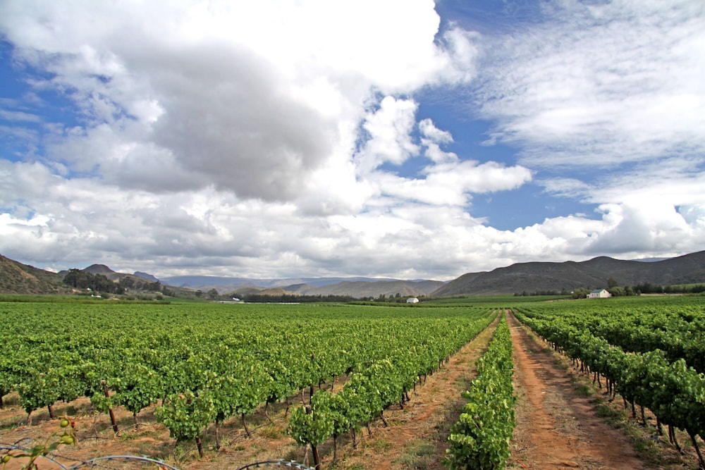 Montagu Springs Resort 39/50