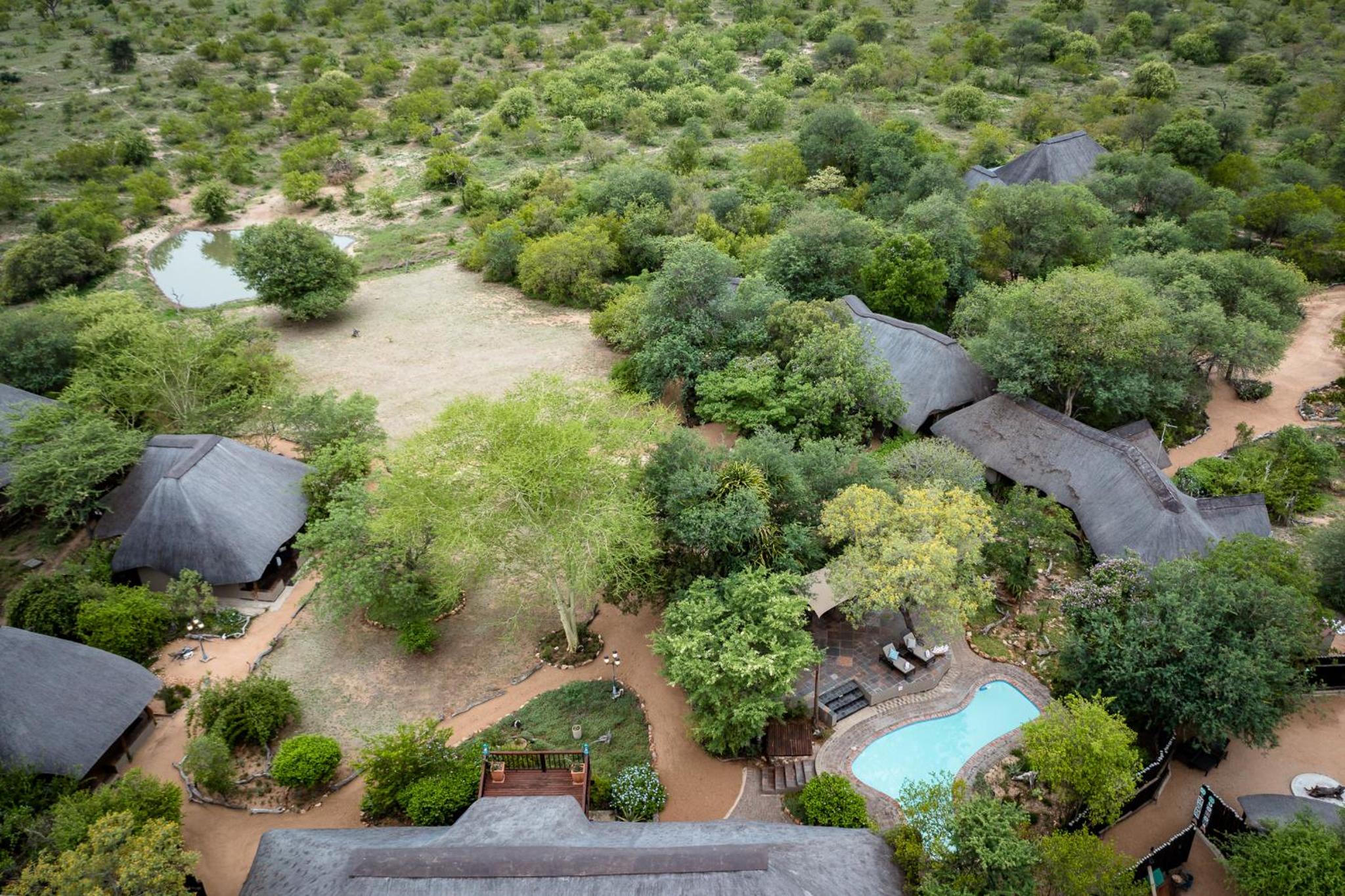 Kambaku Safari Lodge 33/40