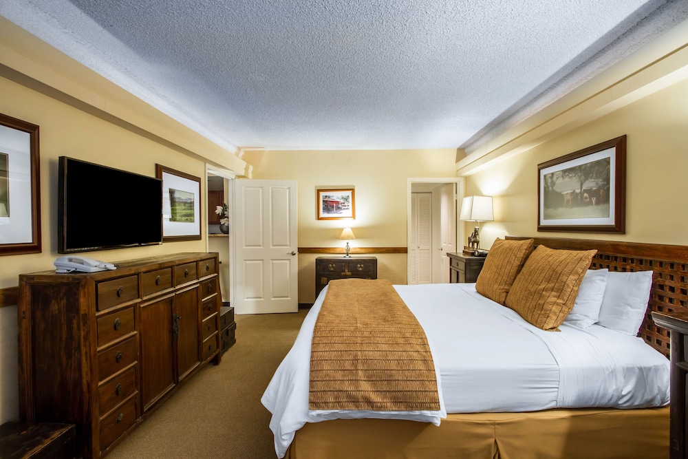 1 BEDROOM, EXECUTIVE, SUITE, KITCHENETTE