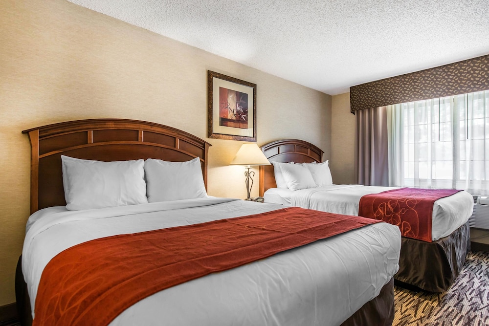 Comfort Suites At Evergreen Parkway 18/48
