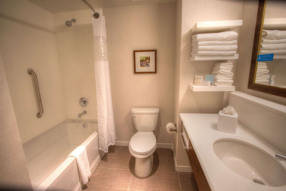 Hampton Inn & Suites Braselton 19/57