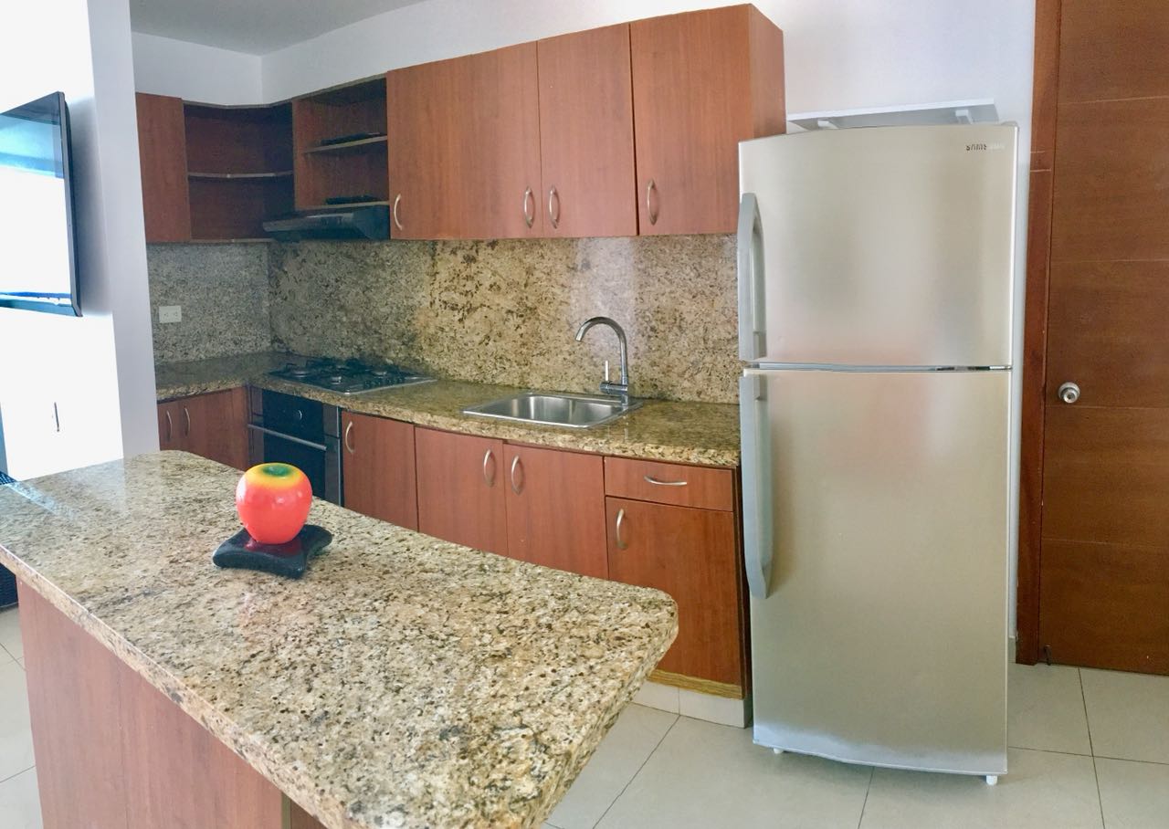 Apartamentos Dhi Palmetto 8/50