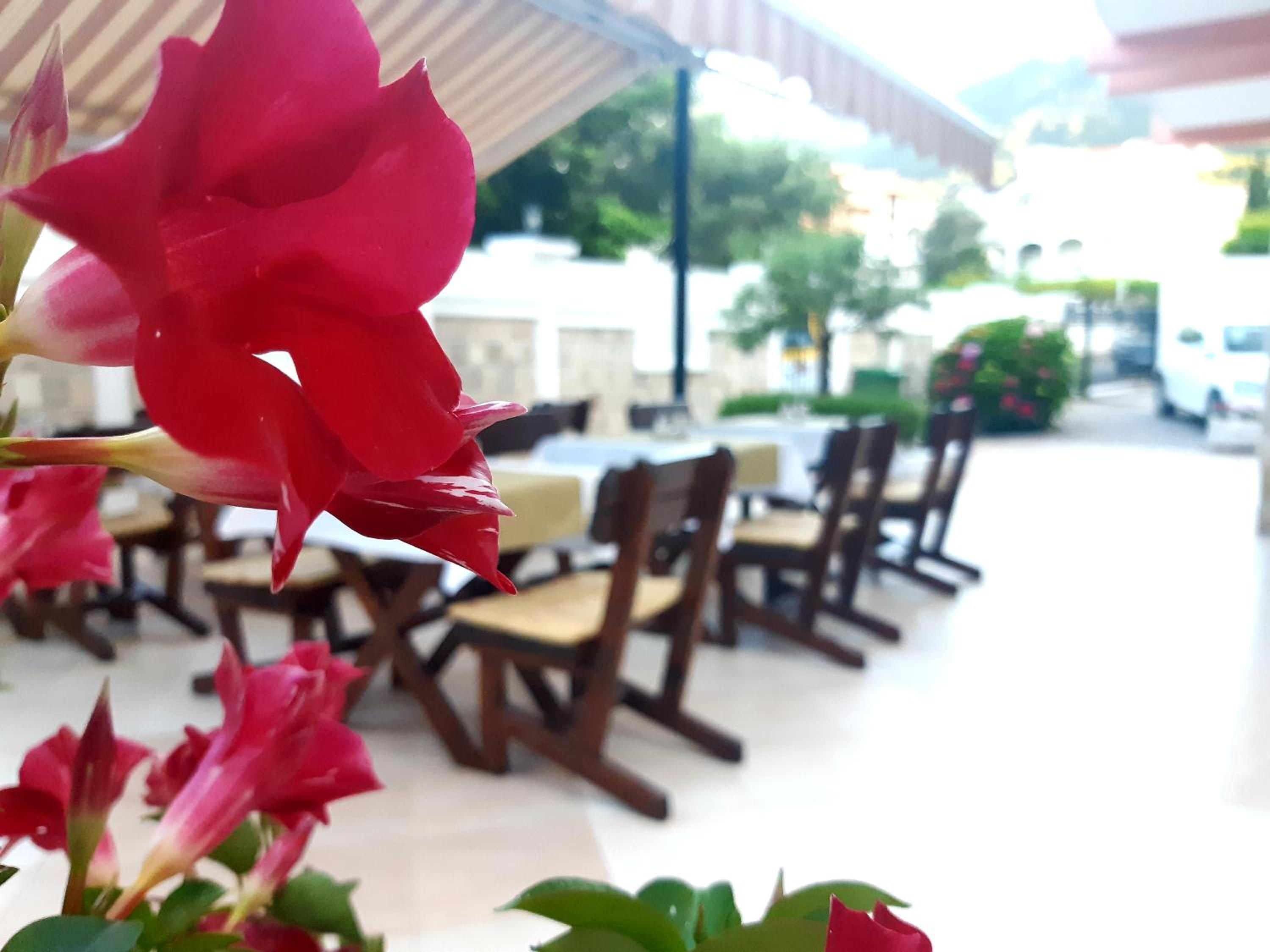 Garni Hotel Koral 32/50