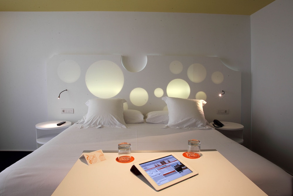 Room Mate Pau 17/67